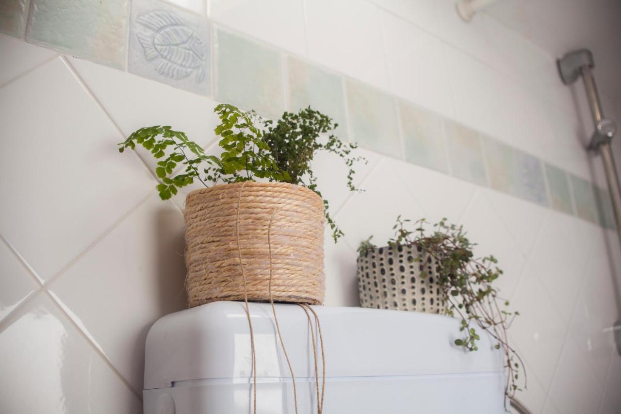 Amarilis Rooms Groznjan Exterior photo